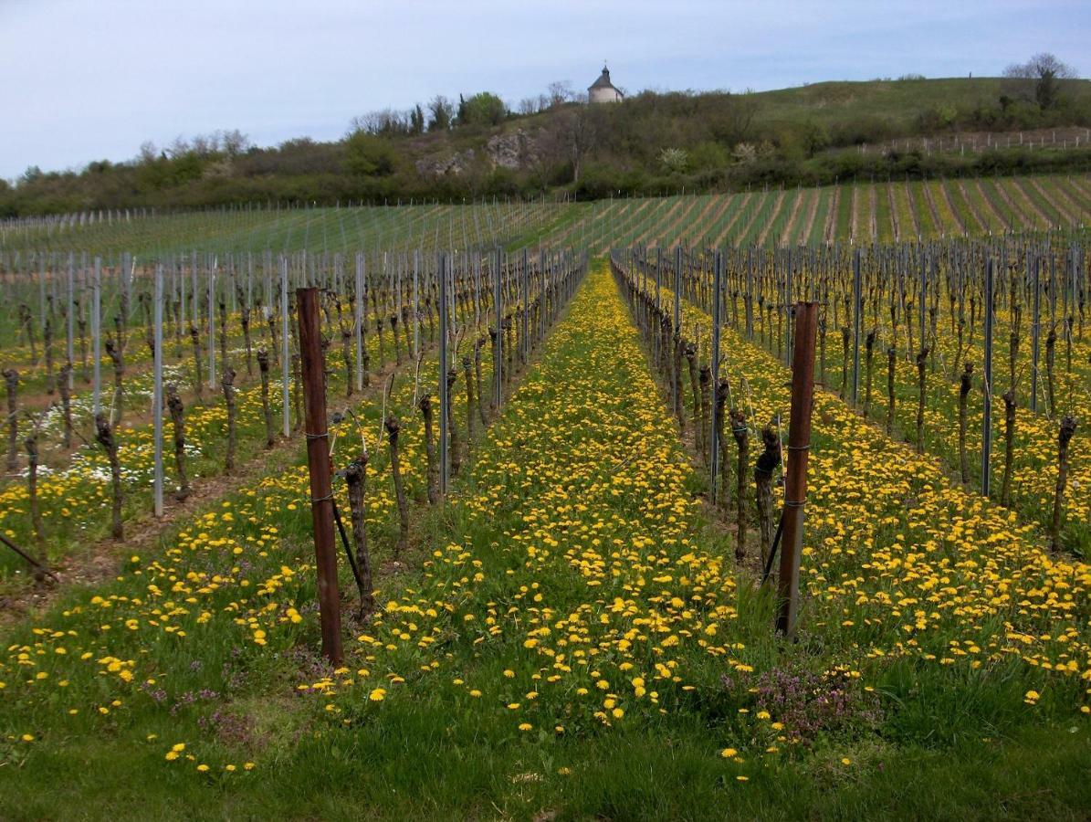 Wein-Domizil Brennofen Hotell Ilbesheim bei Landau in der Pfalz Eksteriør bilde